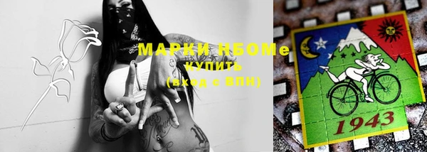 индика Нязепетровск