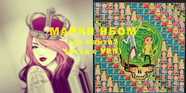 индика Нязепетровск