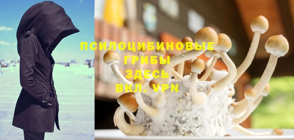 индика Нязепетровск