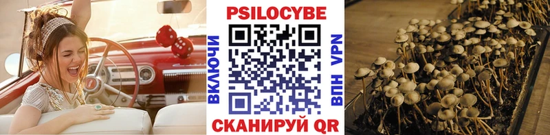 Галлюциногенные грибы MAGIC MUSHROOMS  Купить закладки  Пенза 